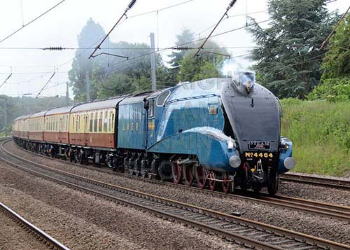 See large image